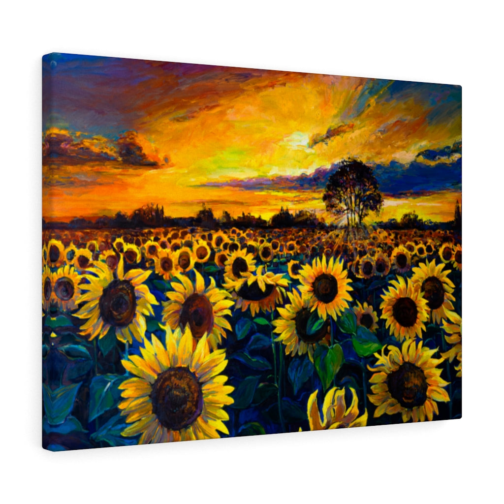 Diamond Art - Intermediate - Sunflower Field