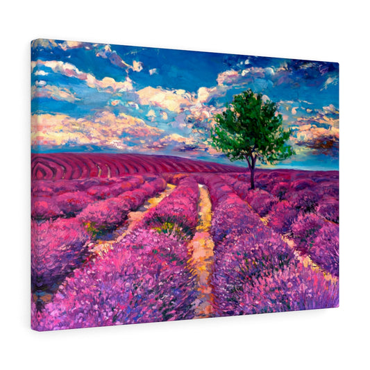 Lavender Field