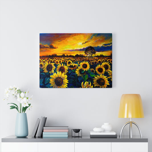 Sunflower Field Sun Landscape