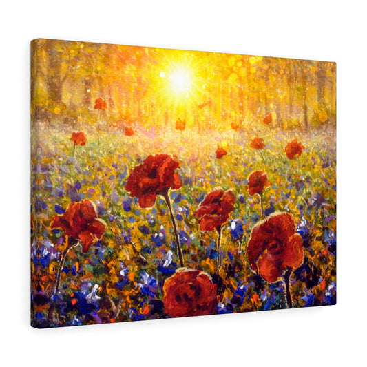 Sun Shines on Flower Field