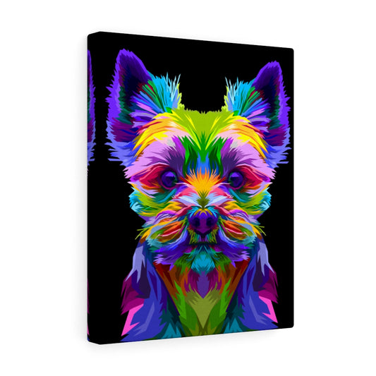 Yorkie Vivid Color